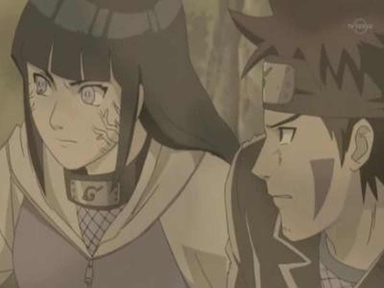 Naruto Shippūden - Season 5 Episode 96 : The Unseeing Enemy