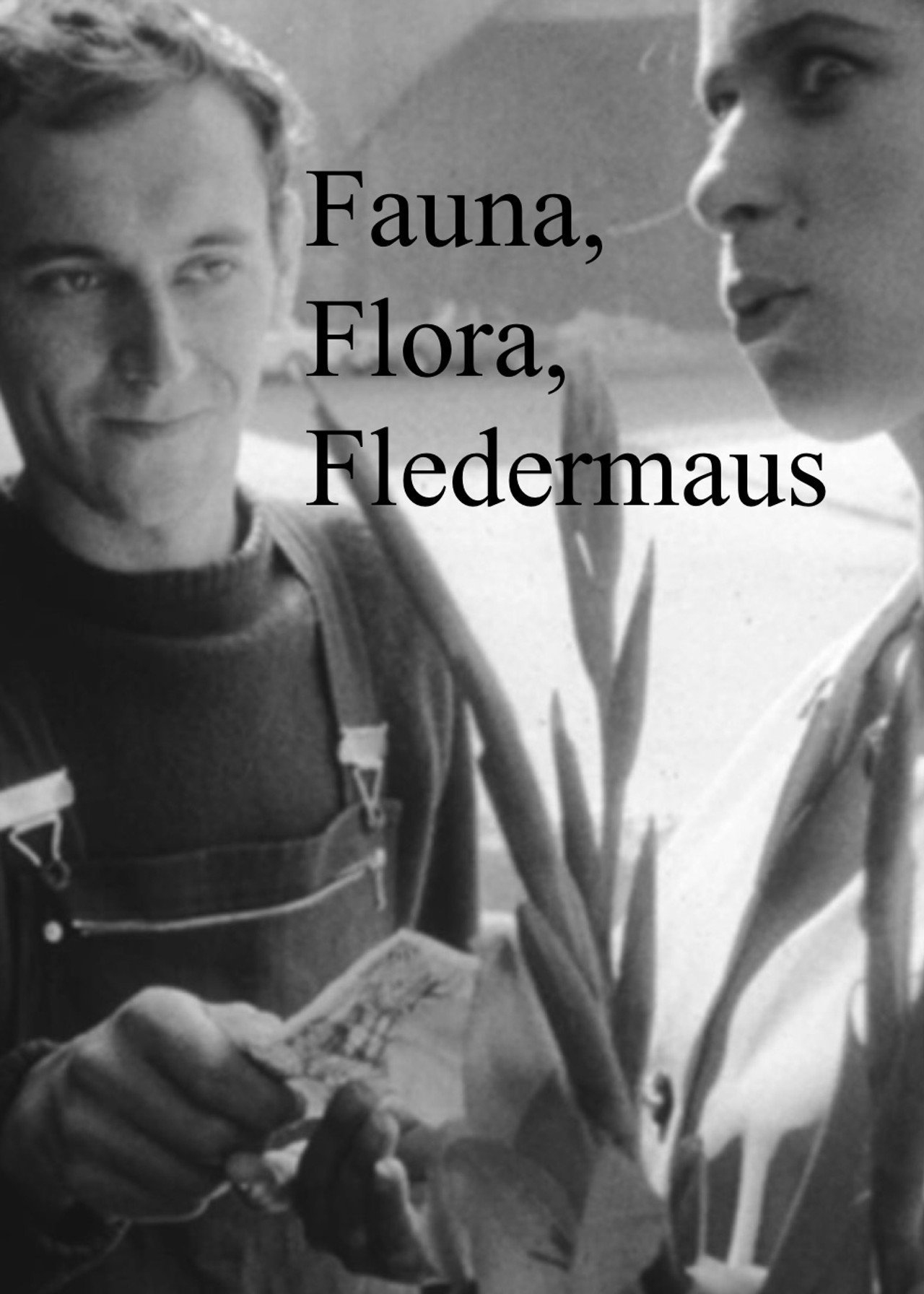 Fauna, Flora, Fledermaus filmaffisch