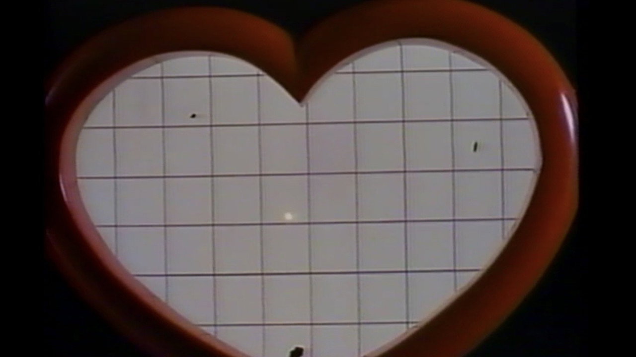 Star Virgin backdrop