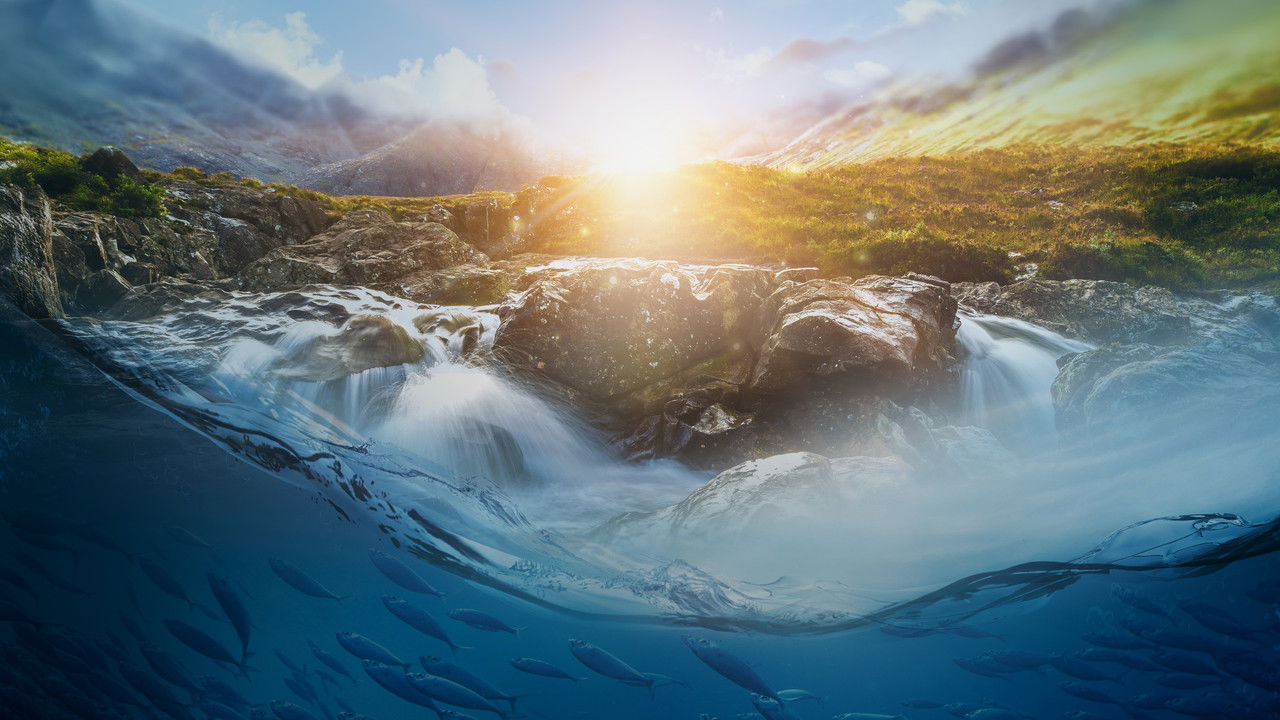 Secrets of the Enchanted Waters