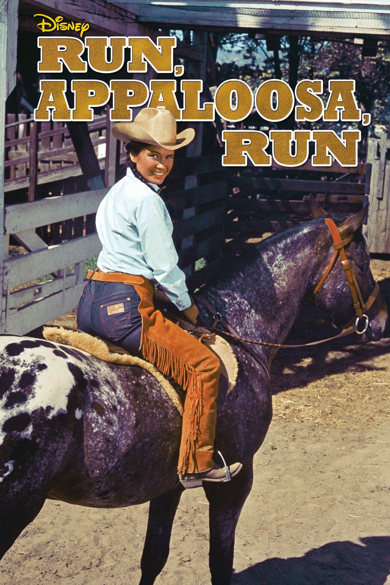 Run, Appaloosa, Run! filmaffisch