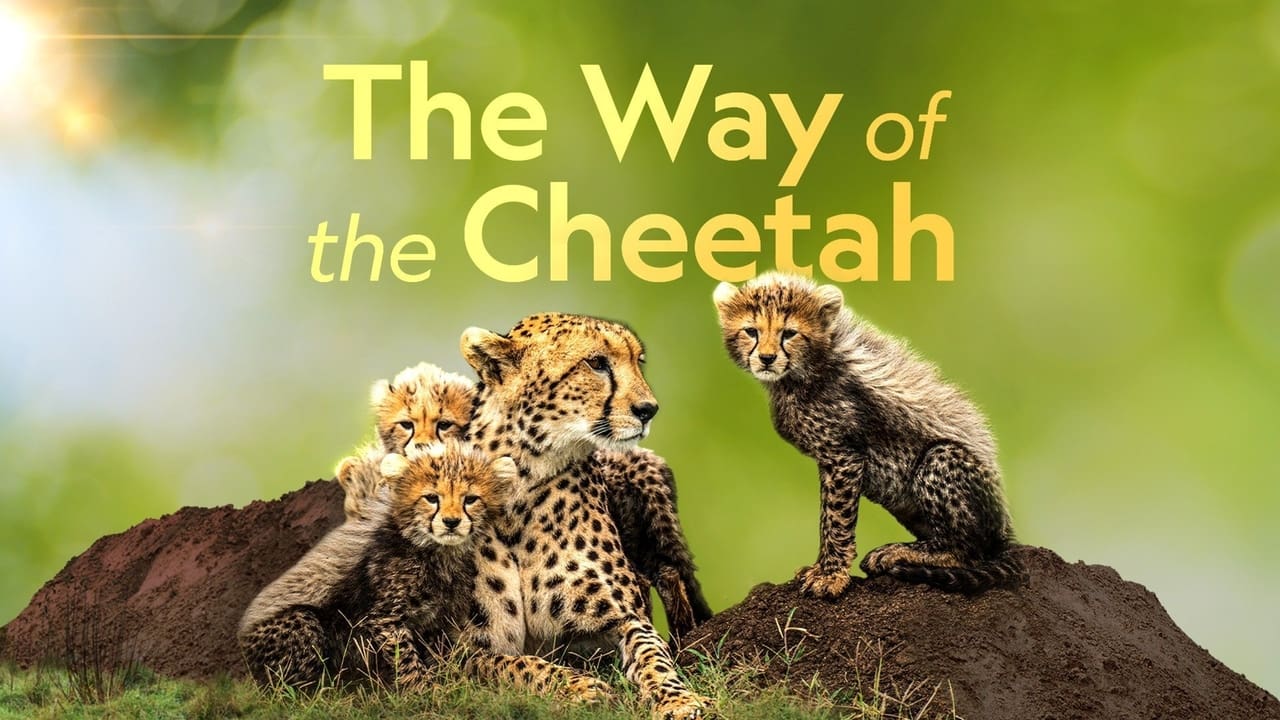 The Way of the Cheetah background