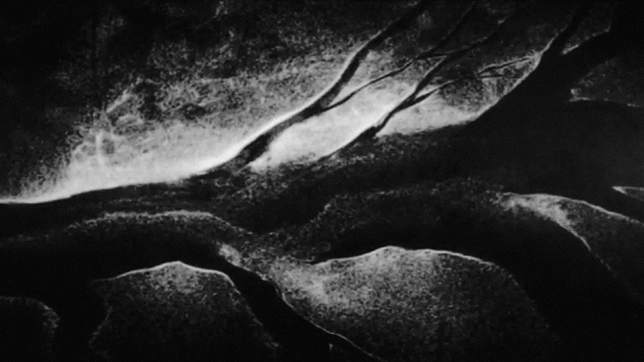 Interior still 4