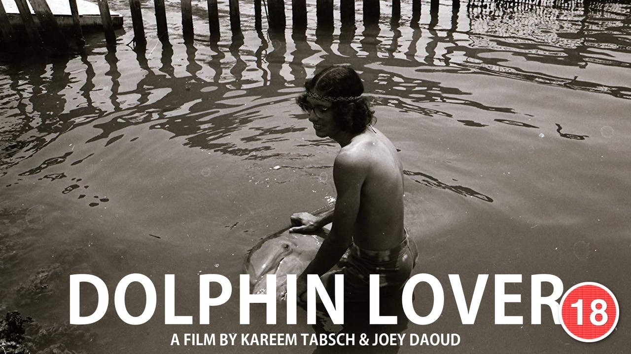 Dolphin Lover backdrop