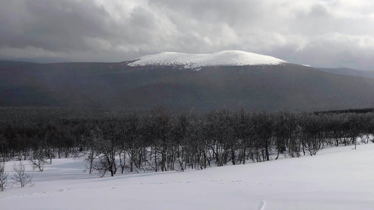 The Dyatlov Pass Incident background