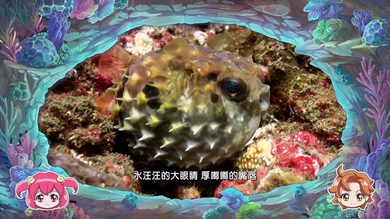 巴啦啦小魔仙魔法海洋馆 — Épisode 5