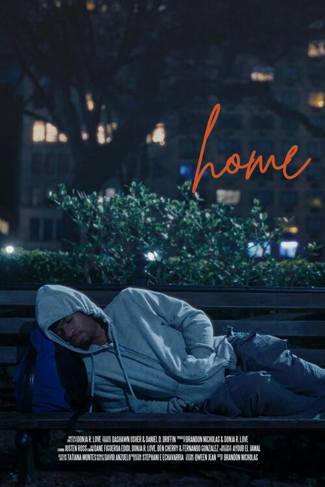 home filmaffisch