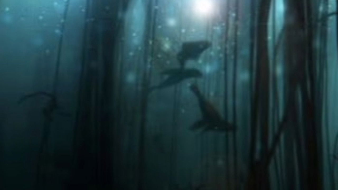 Nature - Season 19 Episode 15 : Golden Seals of the Skeleton Coast