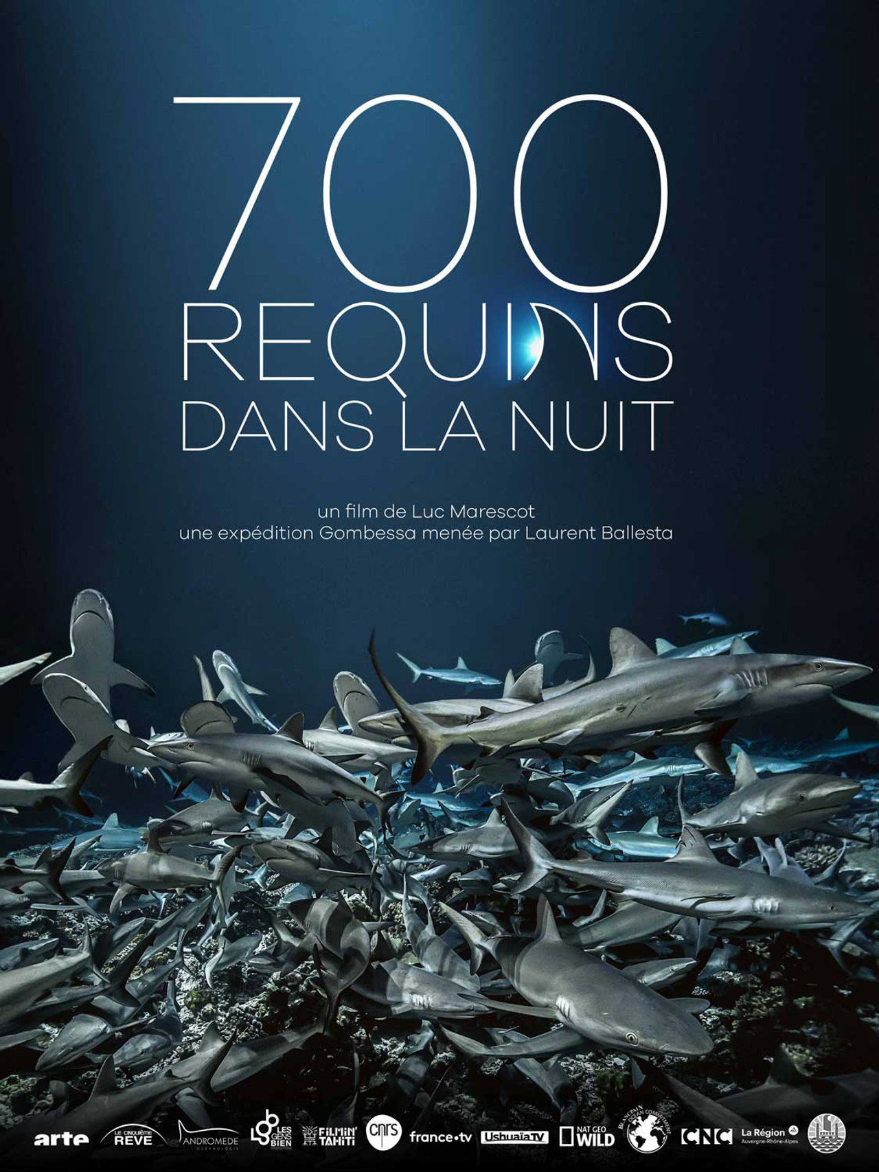 700 requins dans la nuit filmaffisch