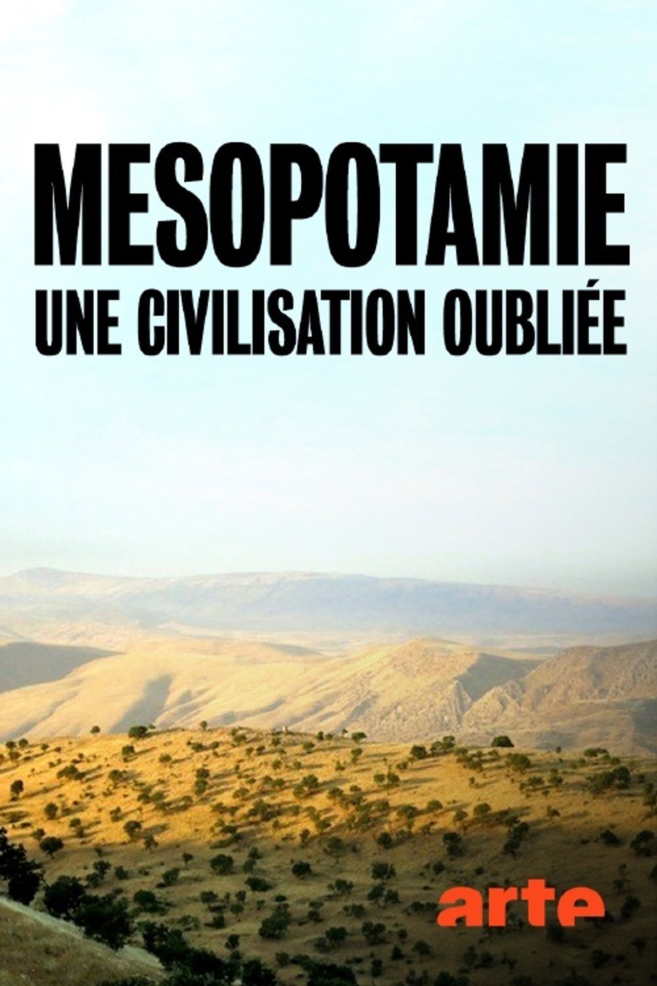 Mésopotamie : une civilisation oubliée filmaffisch
