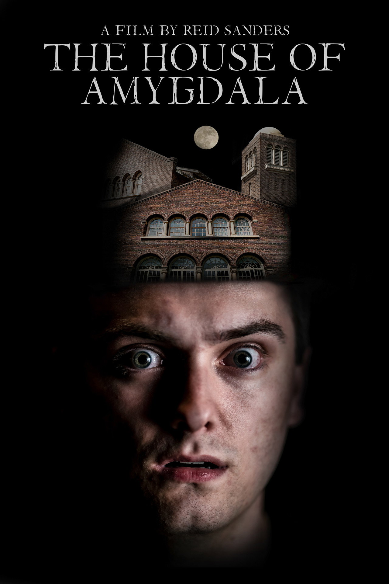 The House of Amygdala filmaffisch