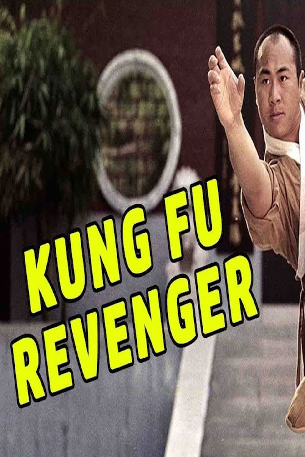 Kung Fu Revenger Backdrop