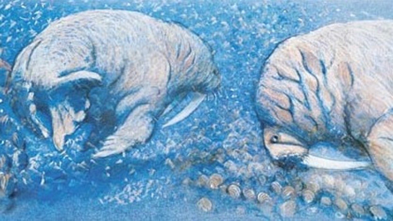 title image