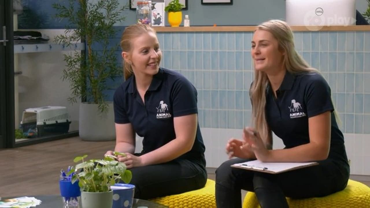 The Dog House Australia - Season 1 Episode 4 : Episode 4