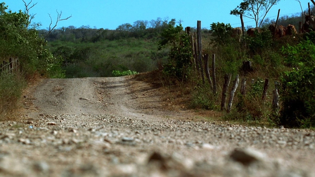 Kill Bill: The Whole Bloody Affair background 110