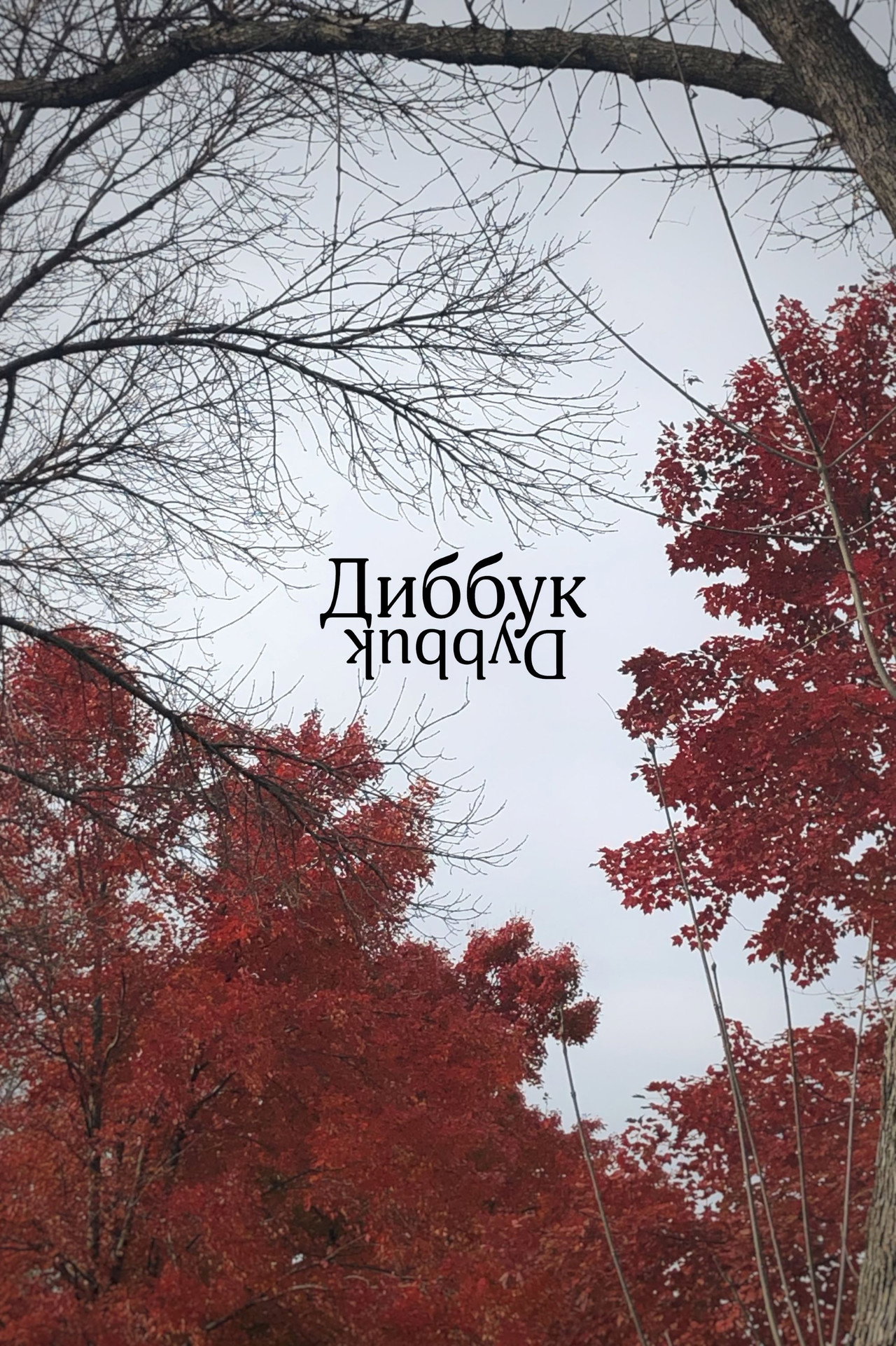 Диббук filmaffisch
