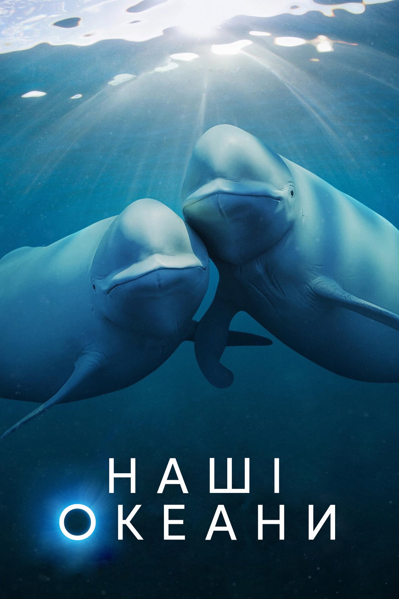 Our Oceans (2024) Hindi Season 1 Complete Netflix backdrop