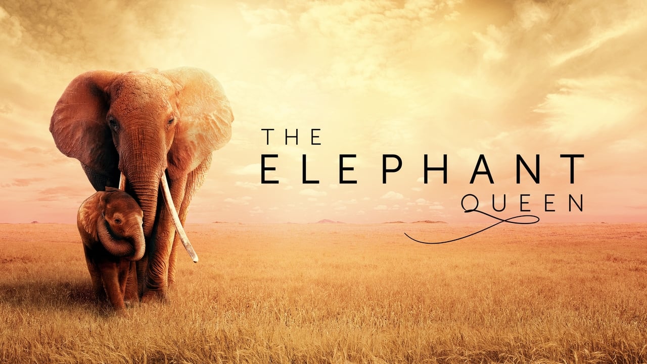 The Elephant Queen background