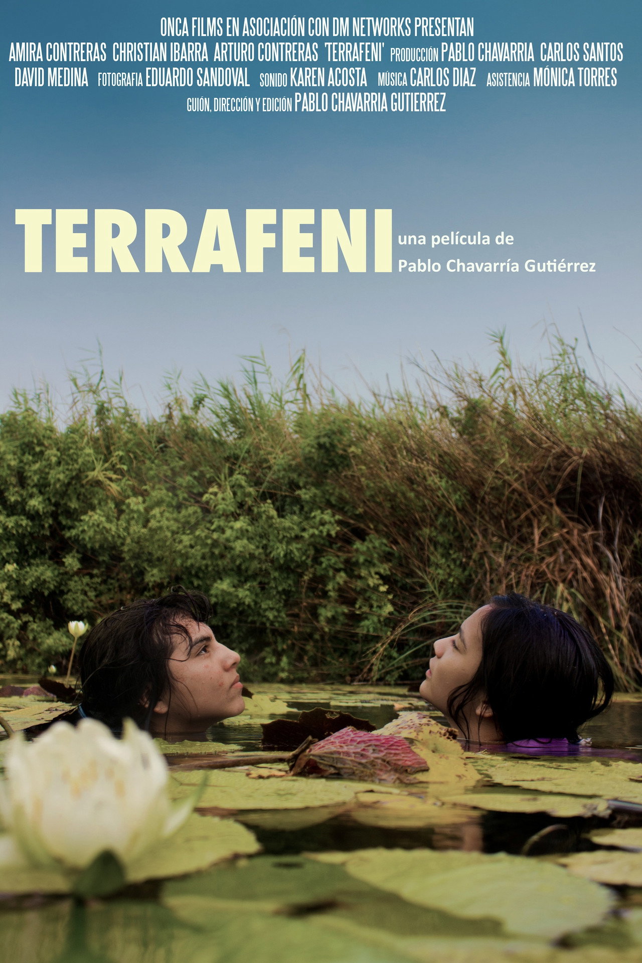 Terrafeni filmaffisch