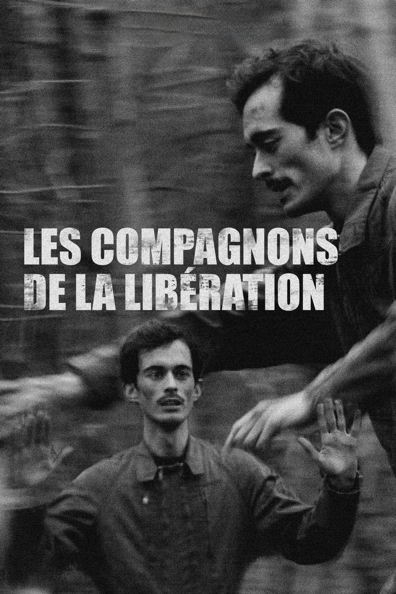 Les compagnons de la Libération filmaffisch
