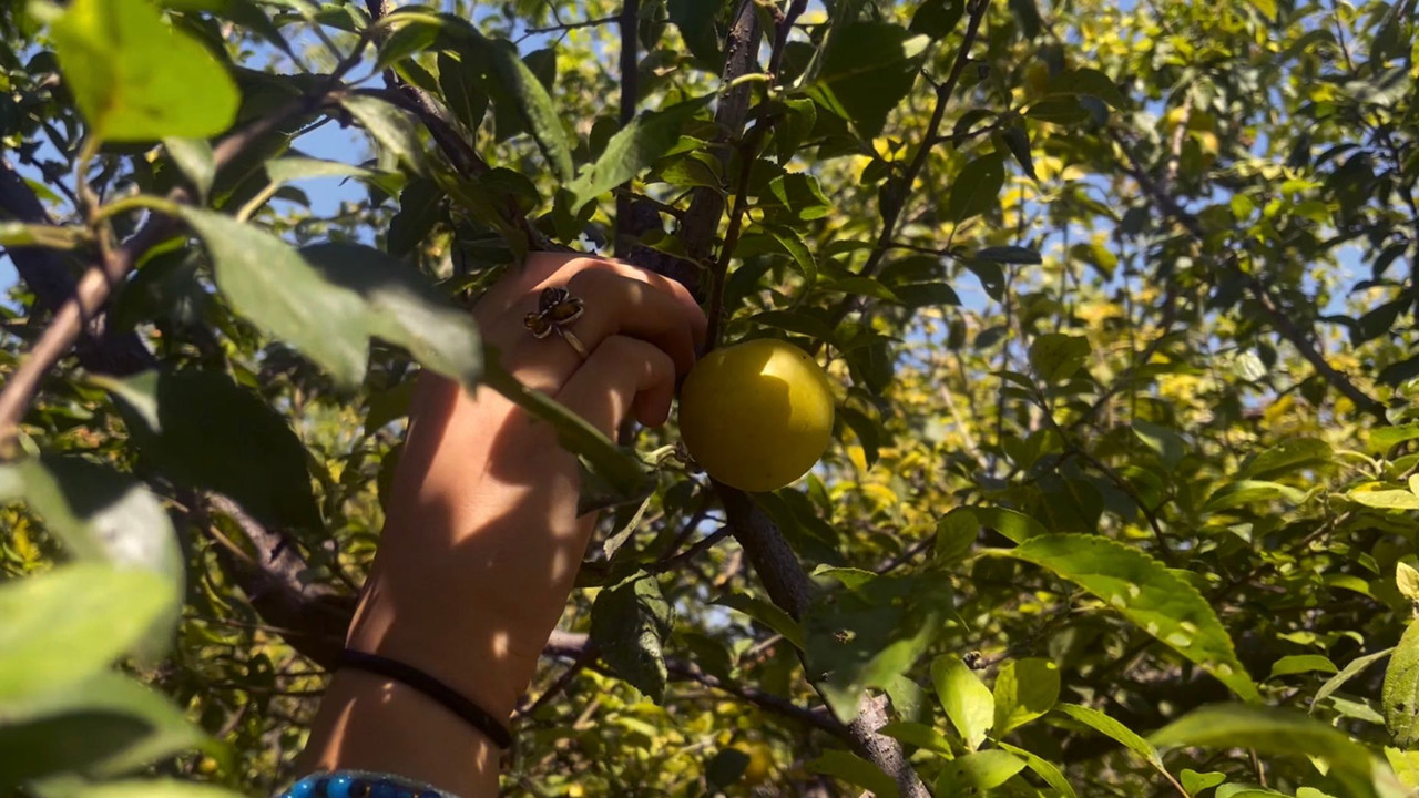 Crossroads - Decisions for Life Backdrop