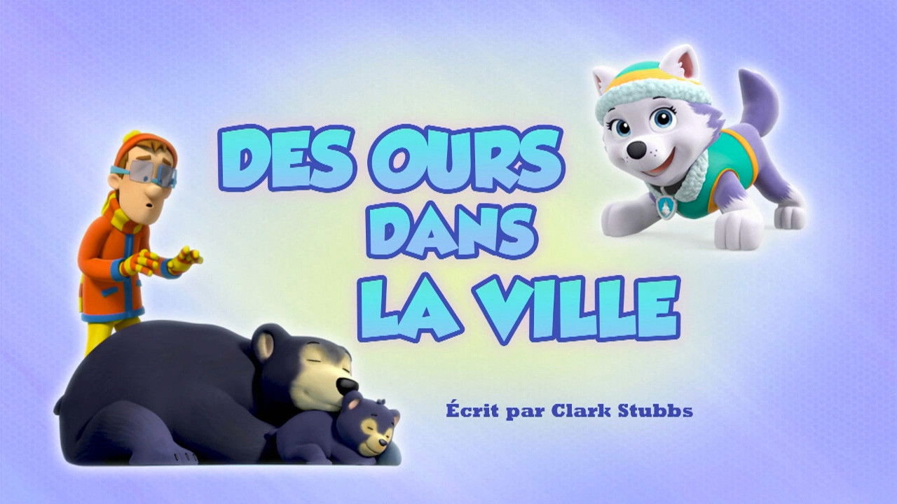 Des Ours dans la ville