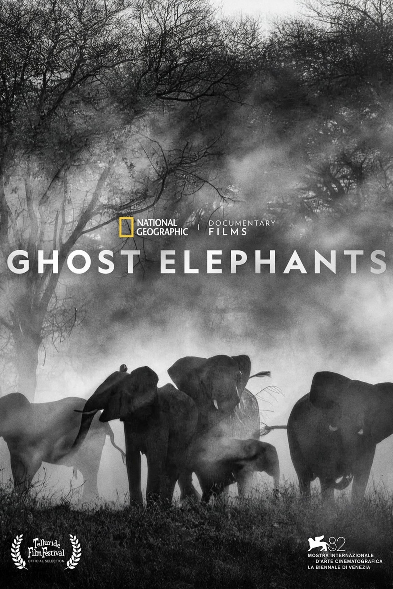 Ghost Elephants poster