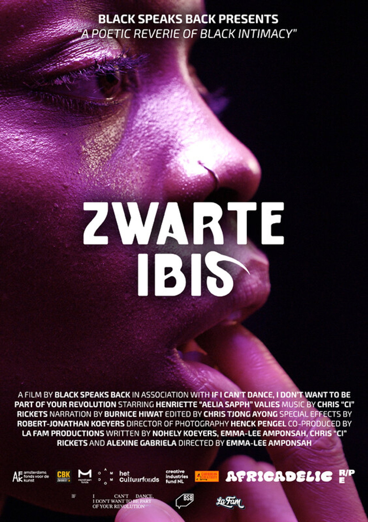 Zwarte Ibis filmaffisch