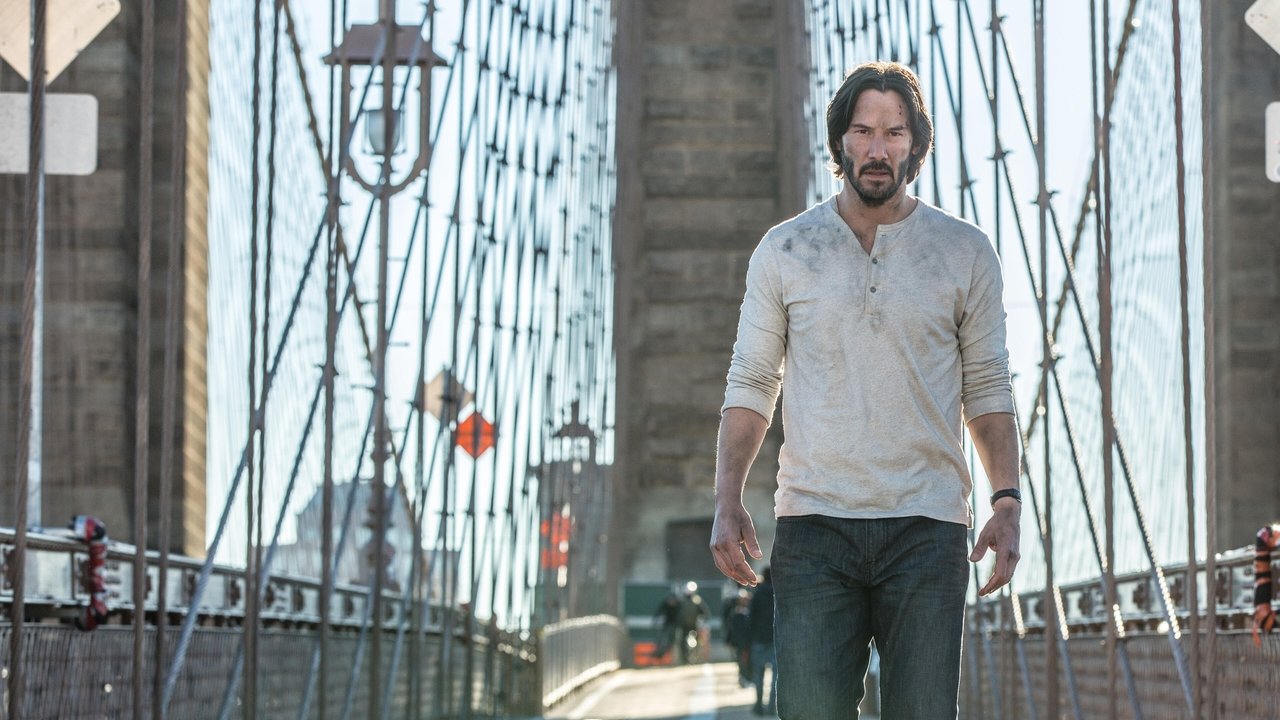 John Wick: Chapter 2 (2017)
