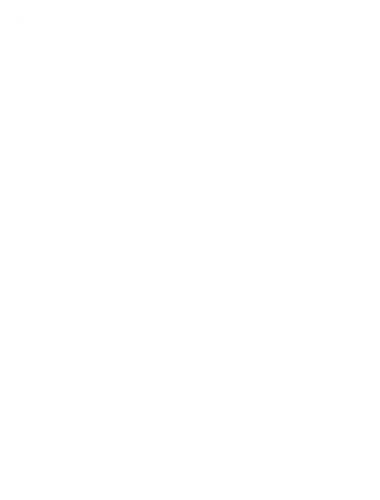 Straight Up Steve Austin