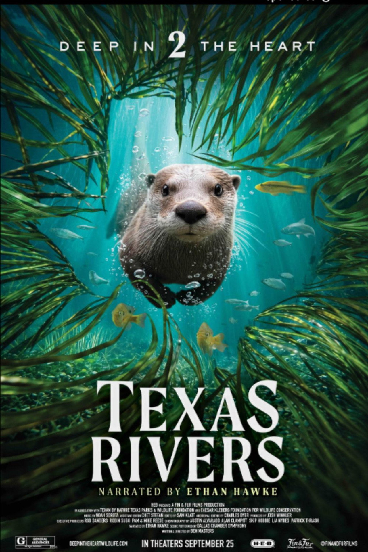 Deep in the Heart II: Texas Rivers