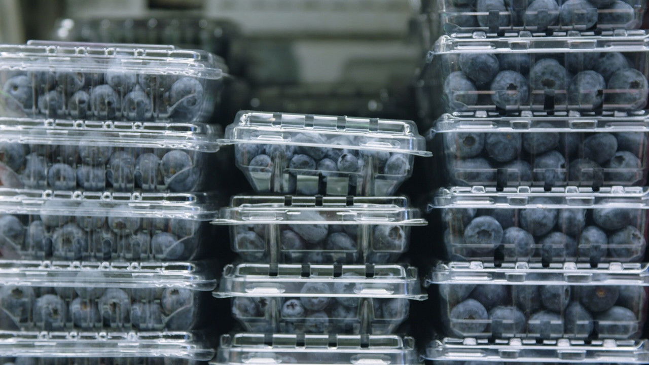 Farm Crime — Épisode 6