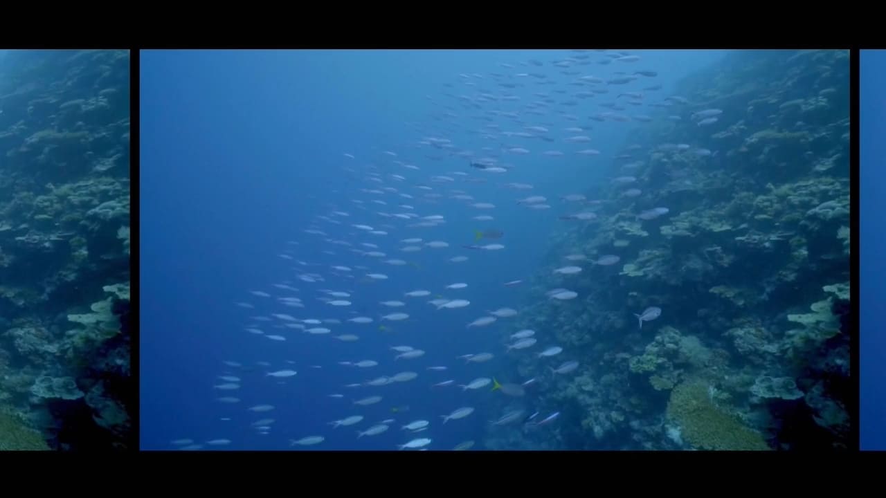 VICE - Season 5 Episode 24 : Dirty Oil & Rebuilding Our Reefs
