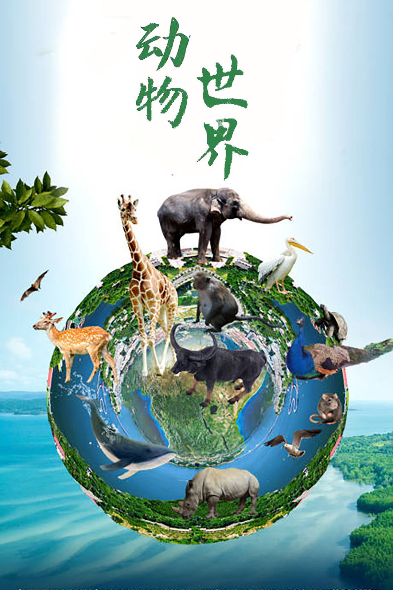 动物世界(赵忠祥) affisch