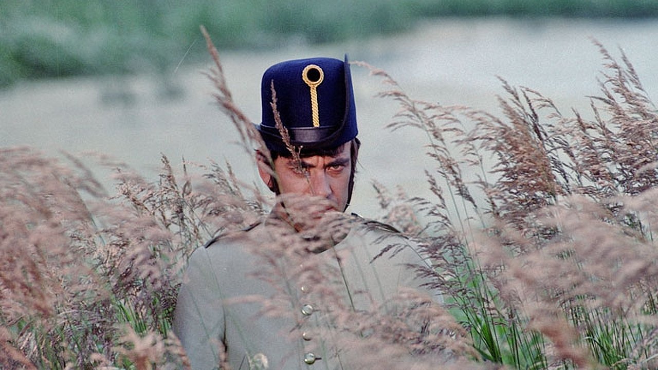 الحلقة 13