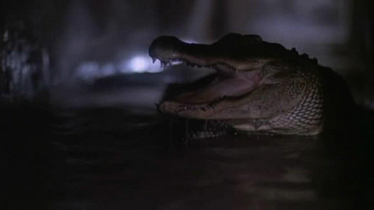 Alligator 2: The Mutation background