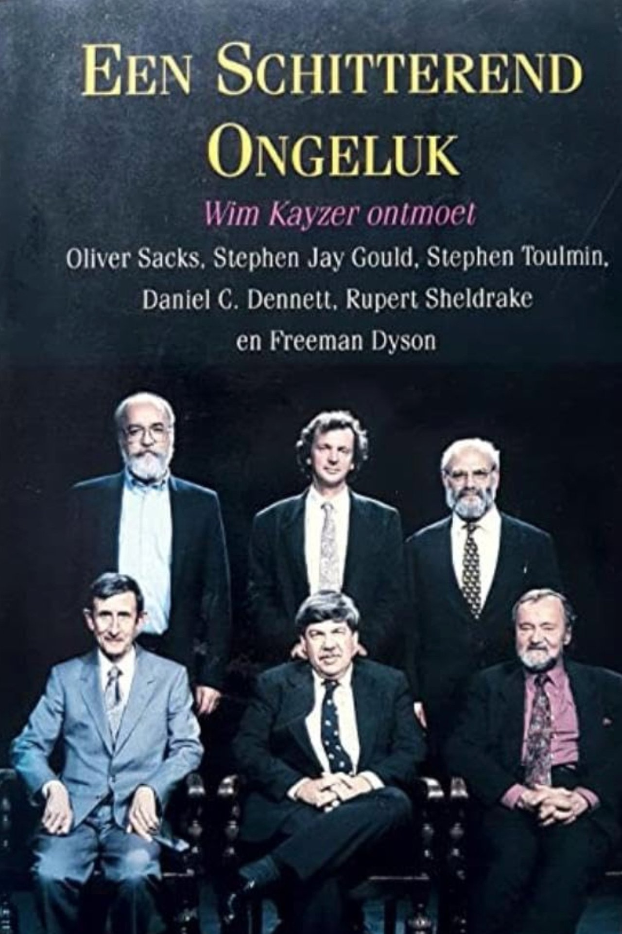 A Glorious Accident 1993