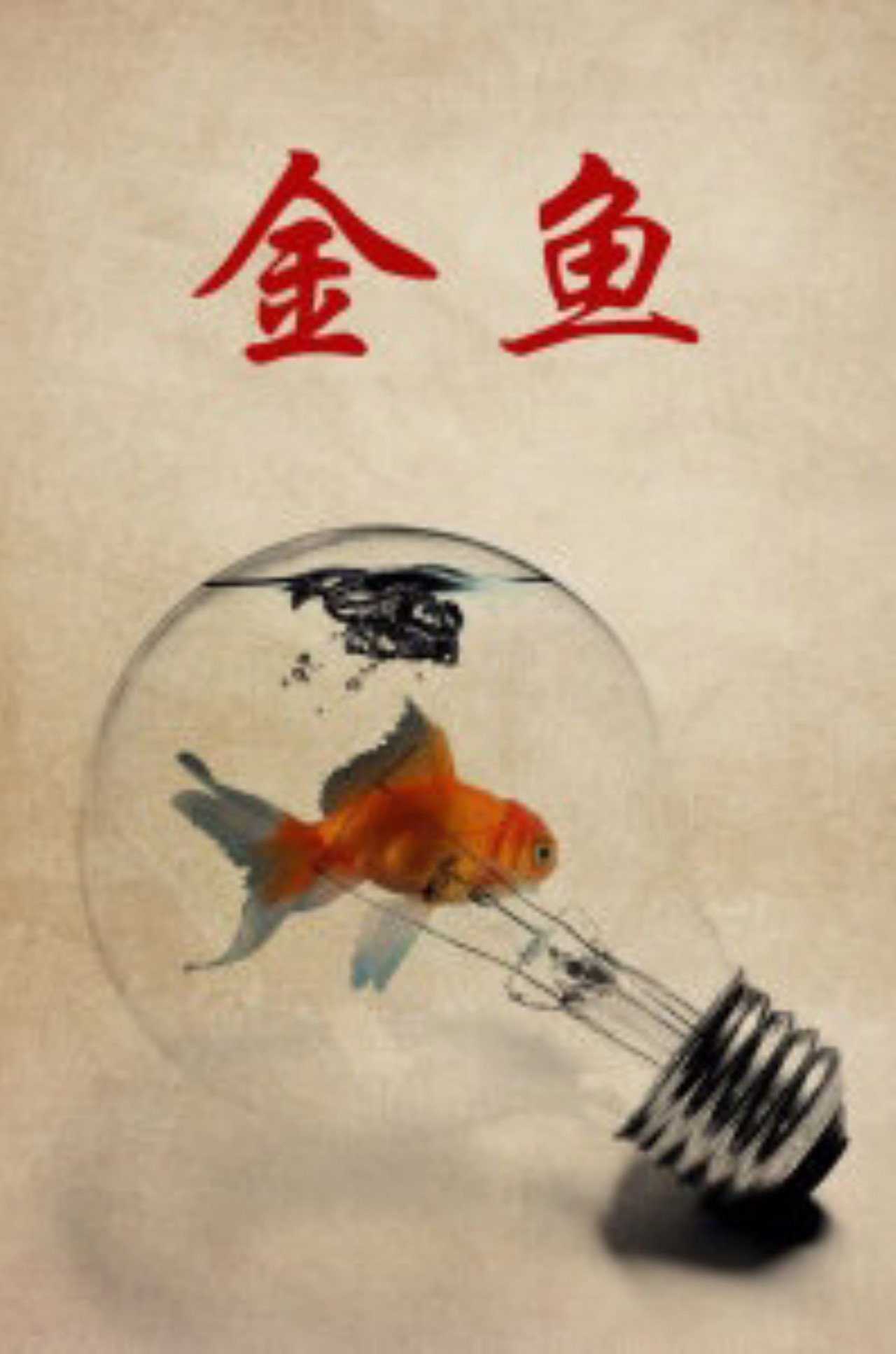 金鱼 filmaffisch