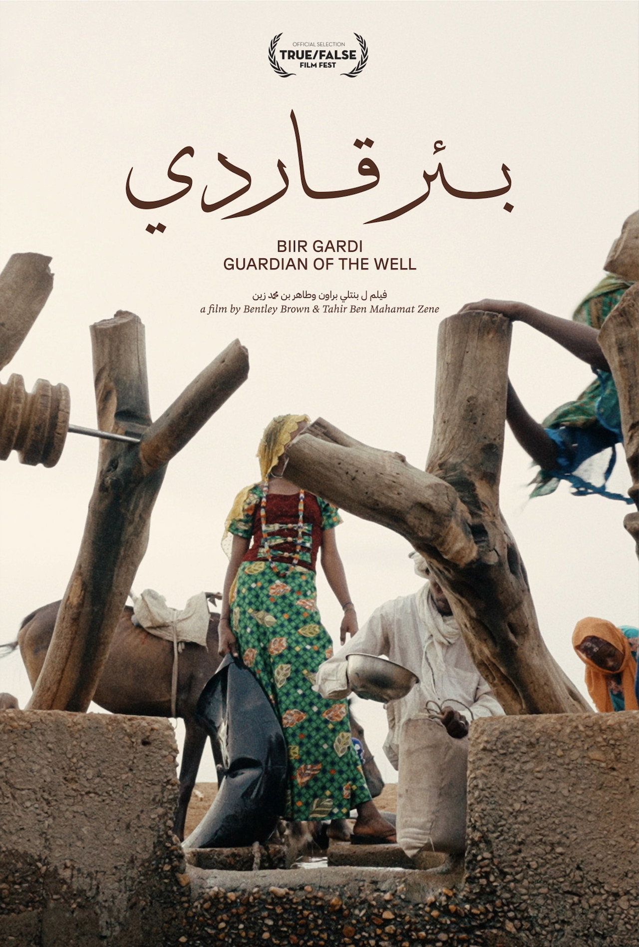 Guardian of the Well