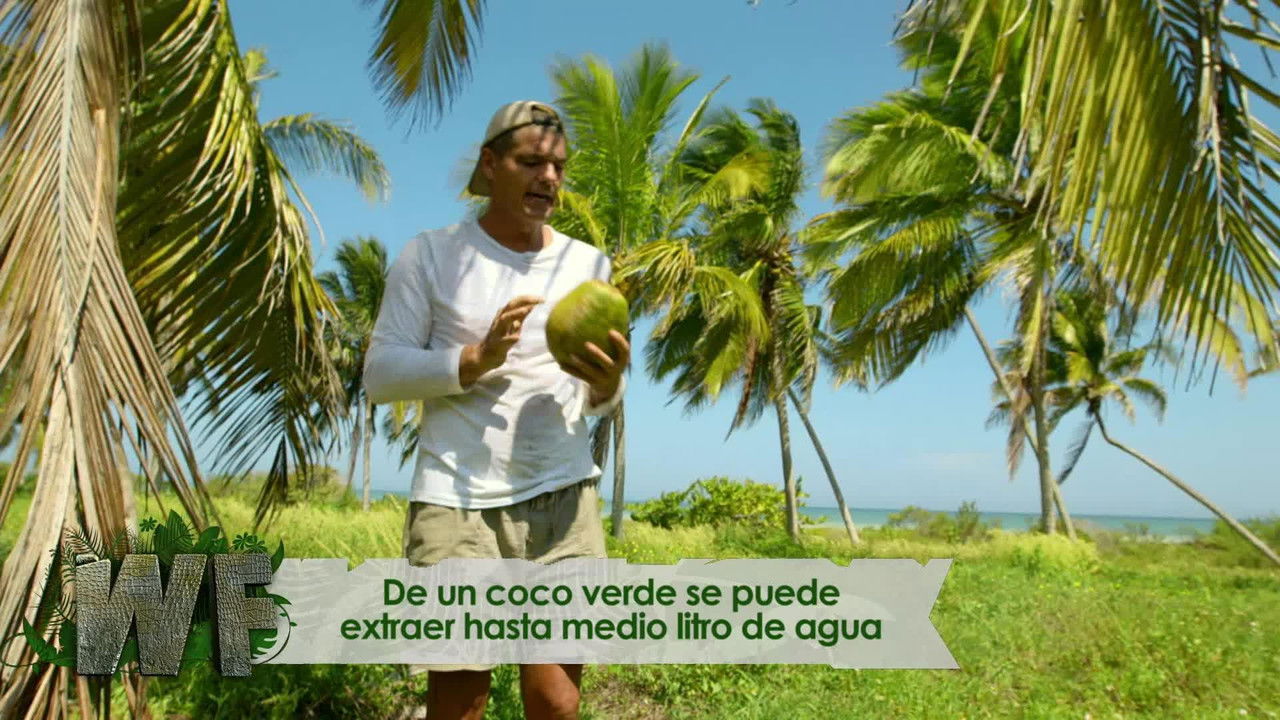 Wild Frank — Épisode 1