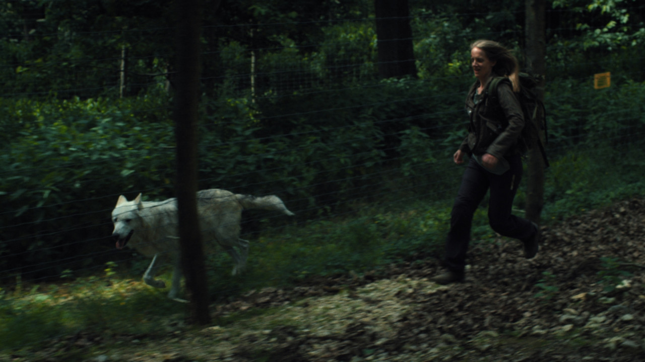 Nebelkind: The End of Silence backdrop