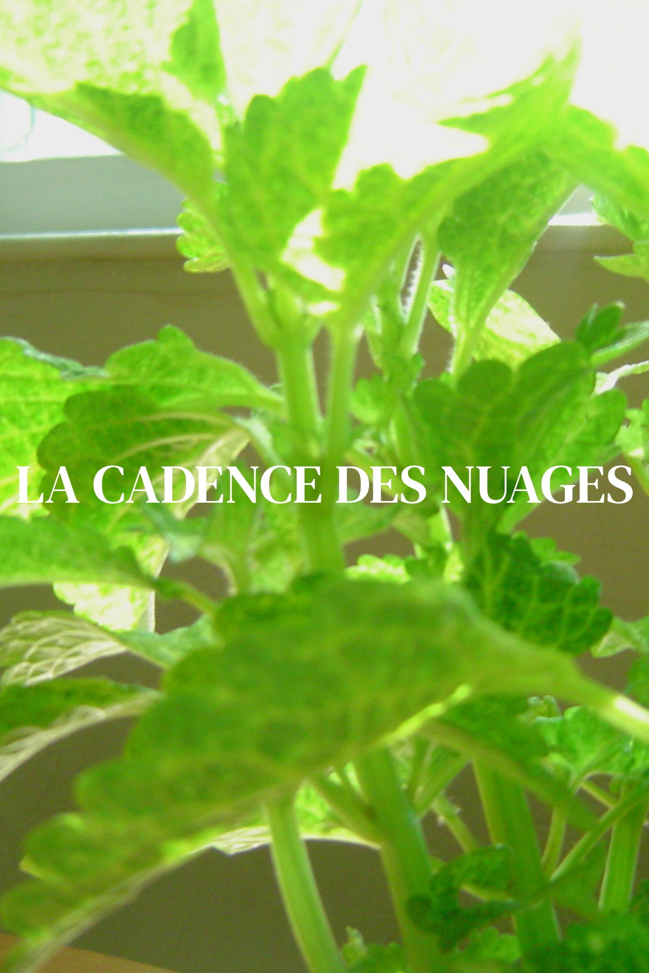 La cadence des nuages filmaffisch