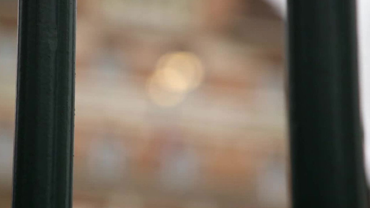 66 minutes — Kim Kardashian - Covid : comment retrouver l'odorat - Prise de becs pour un coq - Pizza la reine de la crise