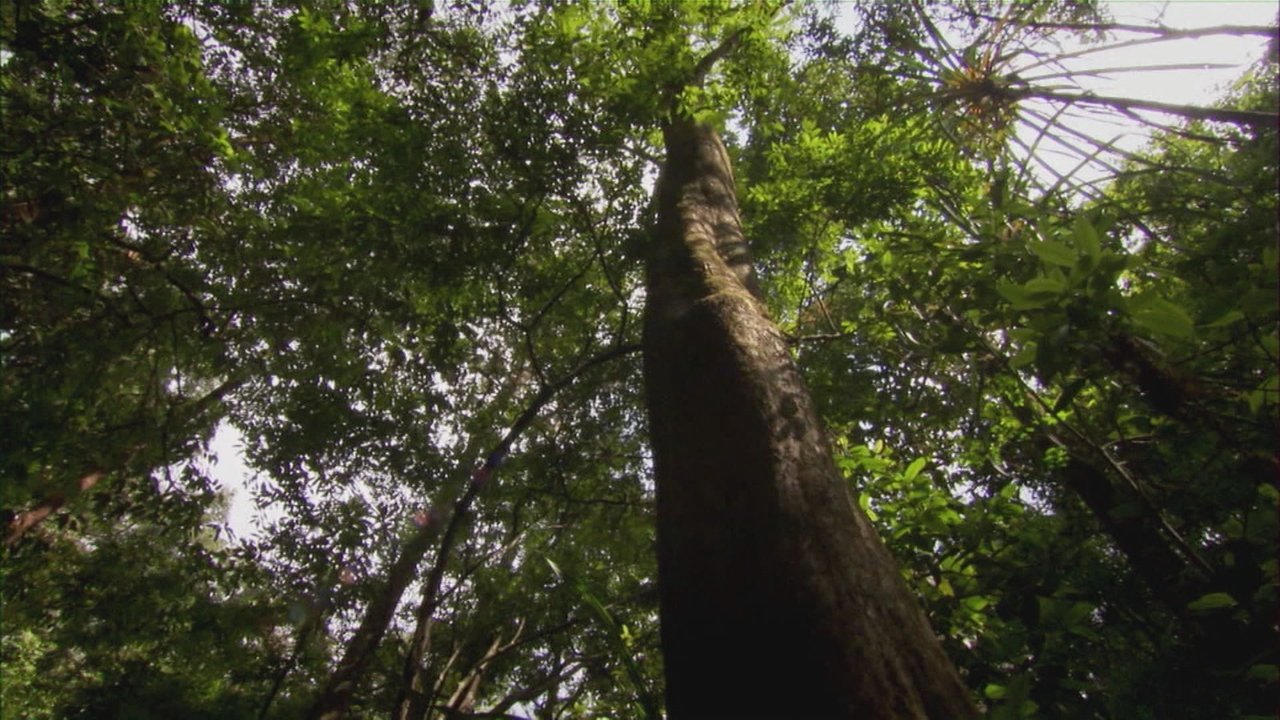 Earth Odyssey with Dylan Dreyer - Season 3 Episode 12 : Highest Peaks