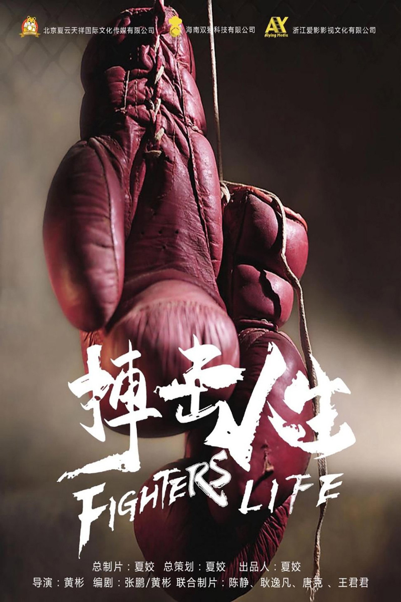 搏击人生 filmaffisch
