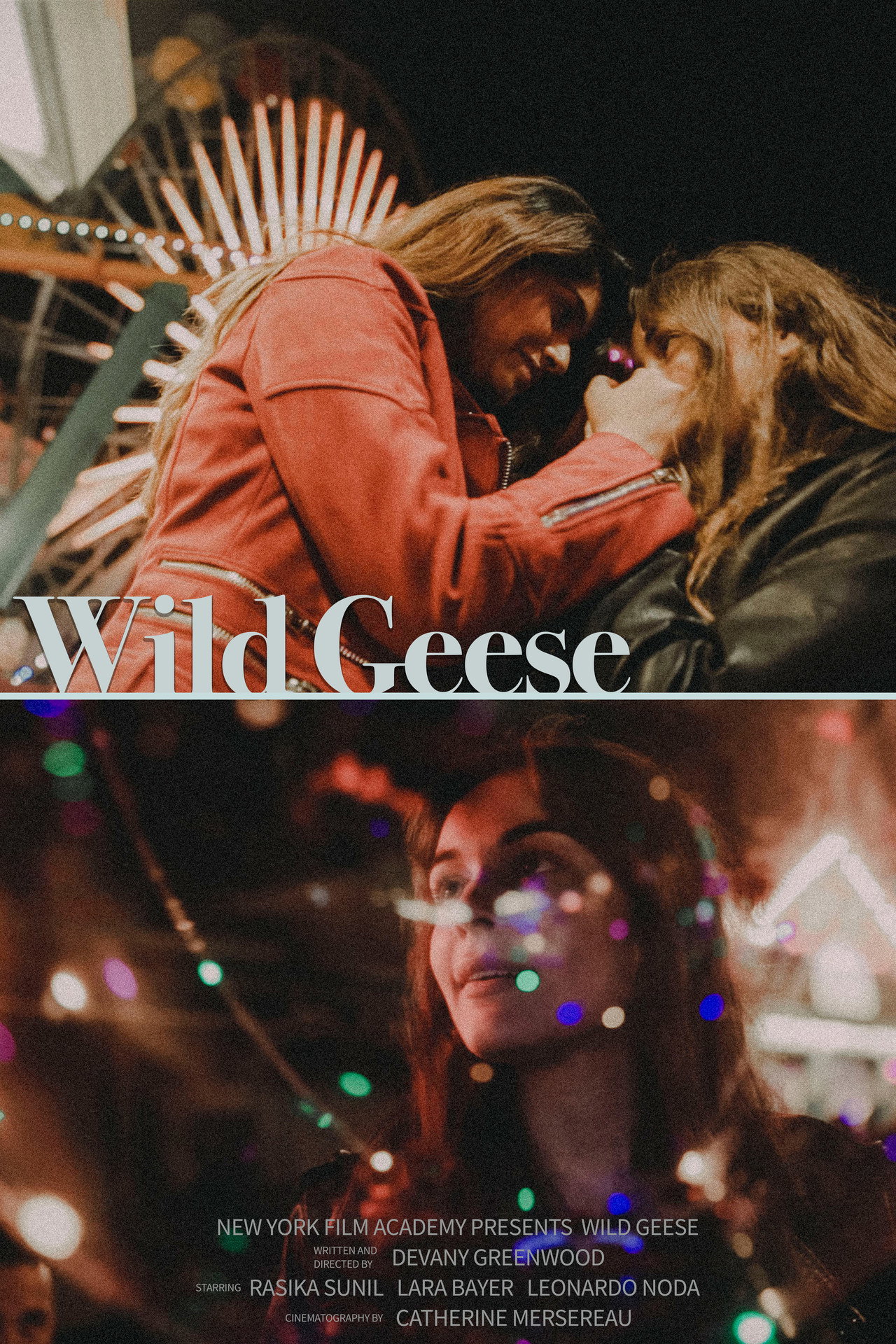 Wild Geese filmaffisch
