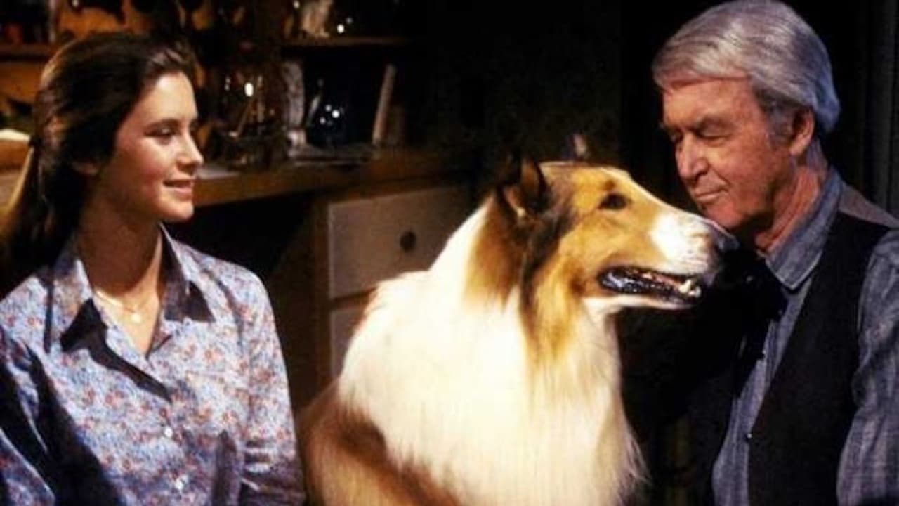 The Magic of Lassie Backdrop Image