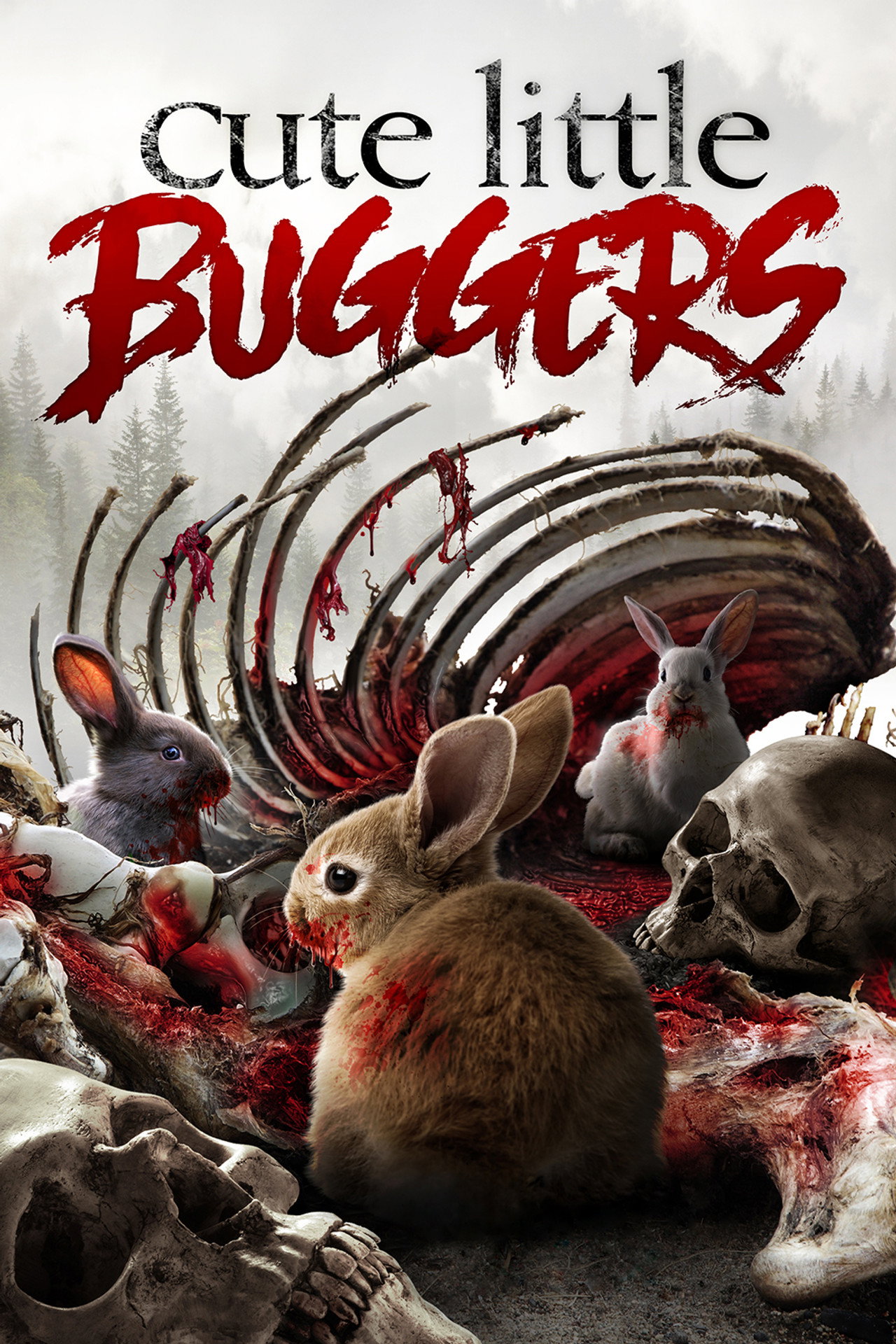 Cute Little Buggers