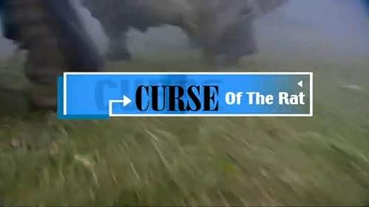 Curse of the Rat: The Black Death