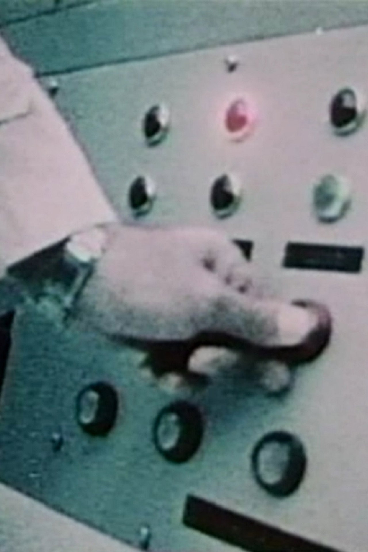 Myth in the Electric Age filmaffisch